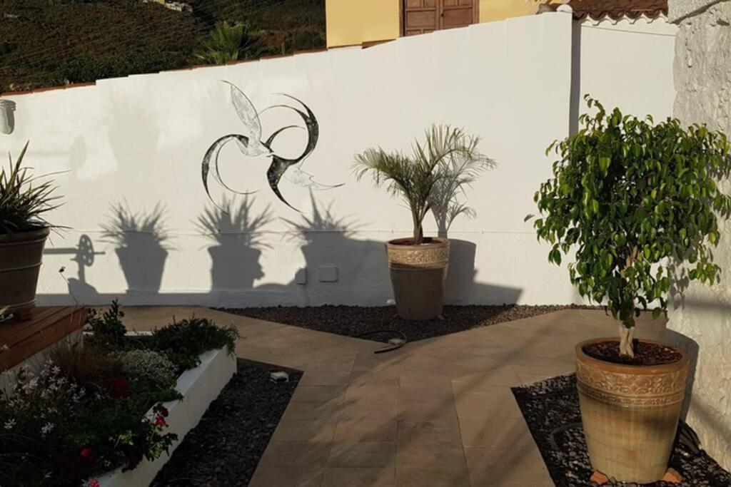 Casa Vina: A Spectacular Away From It All Holiday La Orotava Bagian luar foto