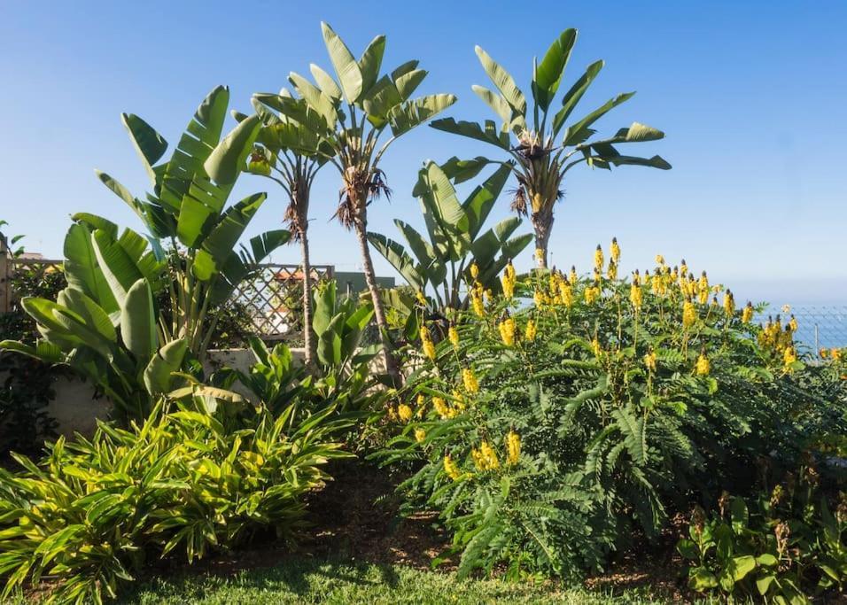 Casa Vina: A Spectacular Away From It All Holiday La Orotava Bagian luar foto