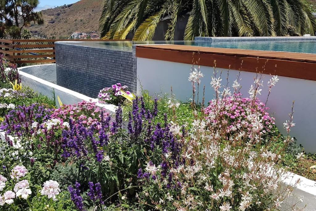 Casa Vina: A Spectacular Away From It All Holiday La Orotava Bagian luar foto